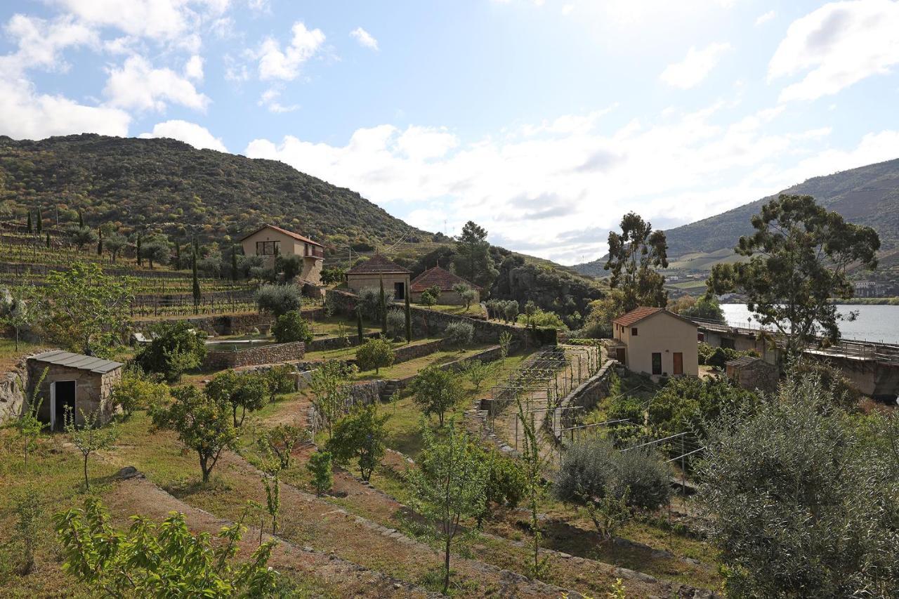 Quinta Da Ferradosa Wines Guest House São João da Pesqueira Exterior foto